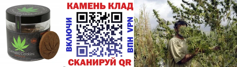 Canna-Cookies марихуана  как найти   Болохово 