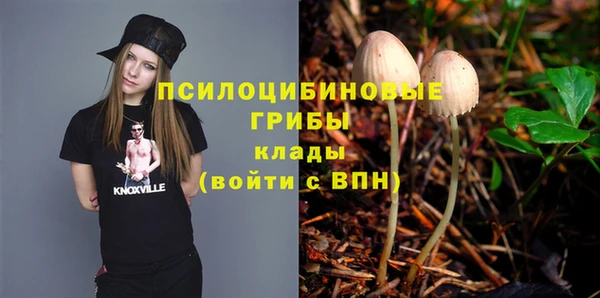 молекула духа Абдулино