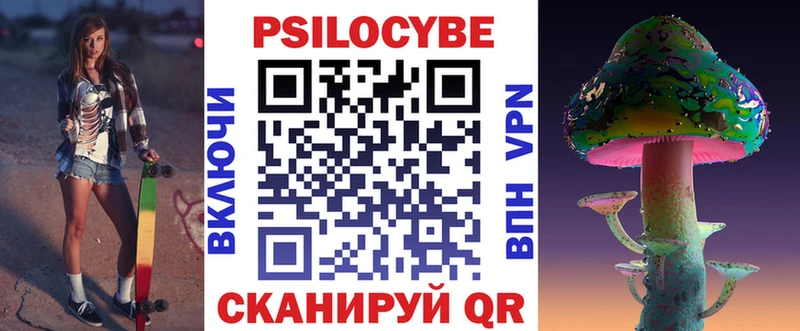 Псилоцибиновые грибы Psilocybe  продажа наркотиков  Болохово 